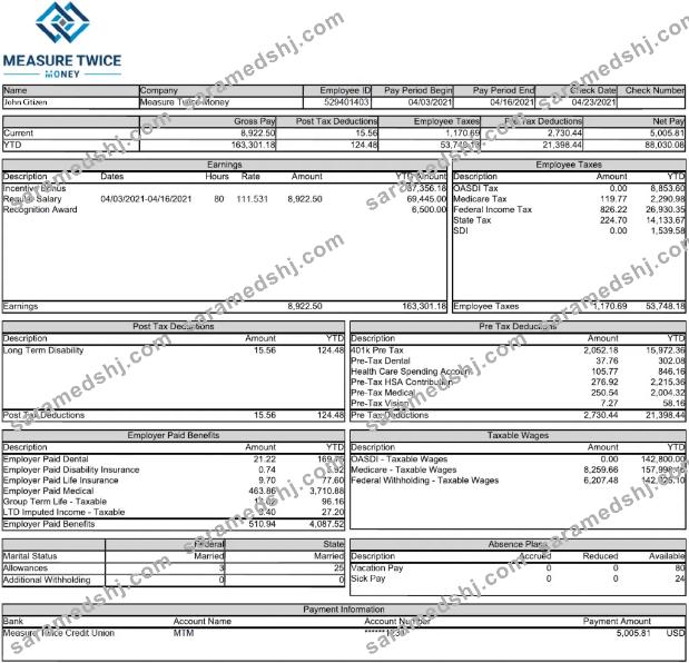 USA MEASURE Twice Financia payslip template in Word and PDF
